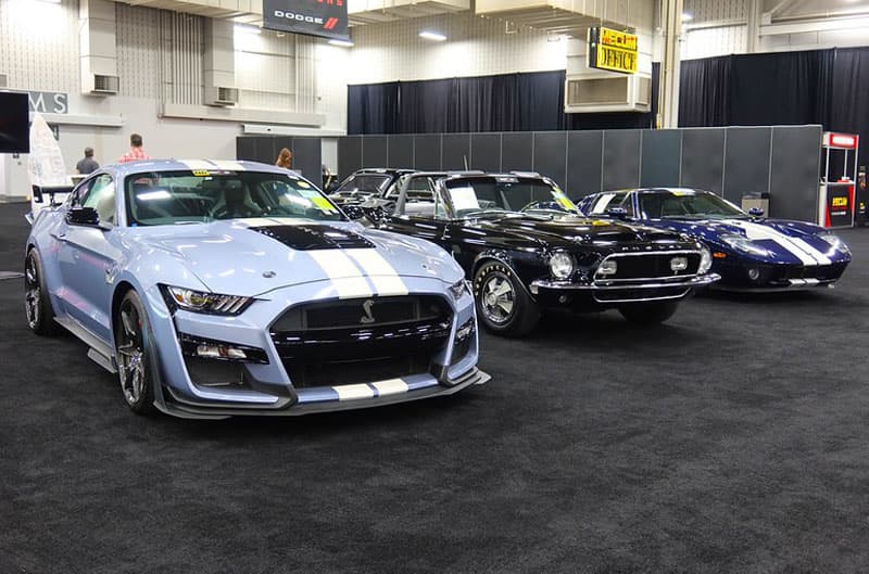 Mustangs on display