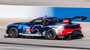 Mustang on the track