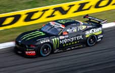 Mustang on the track