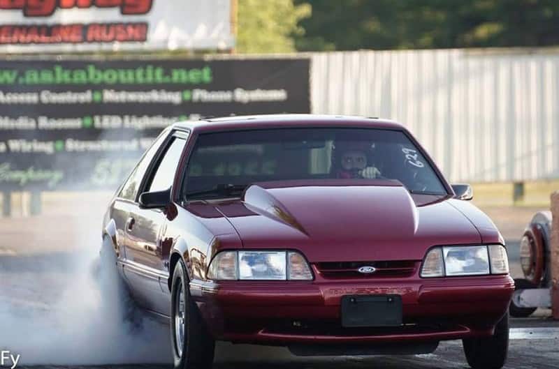 mustang8 mustang8