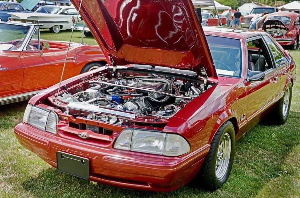 mustang4 mustang4