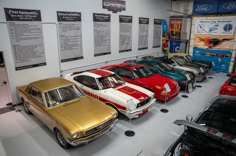Mustangs in the mom