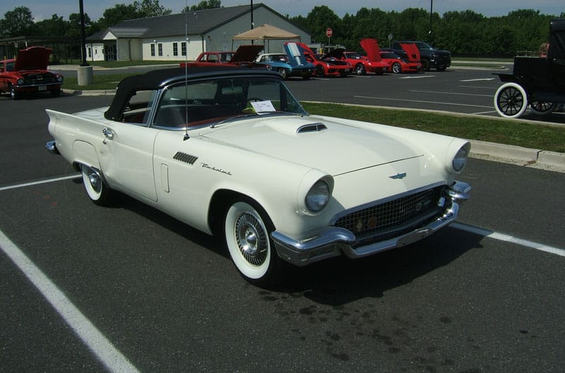 white thunderbird