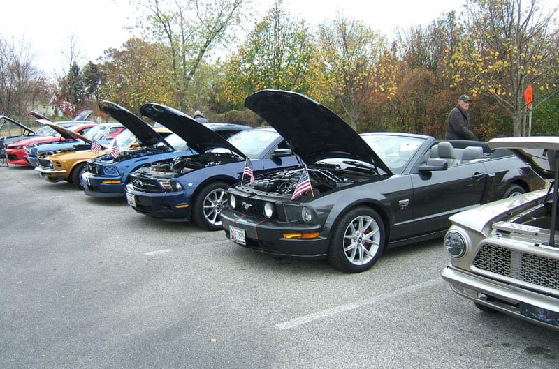 Mustangs in a row