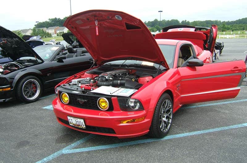 Mustang on display