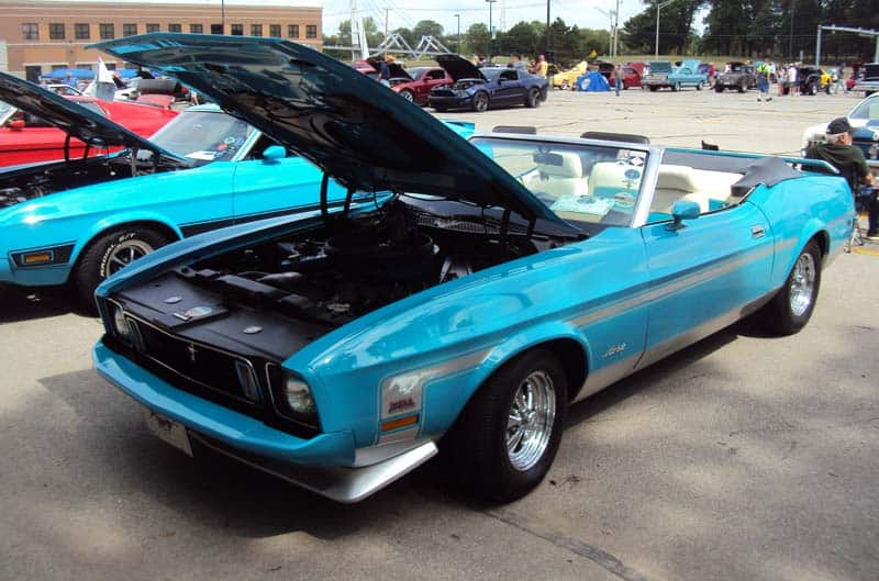 Mustang on display