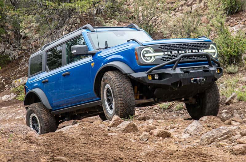 Bronco on rock hill