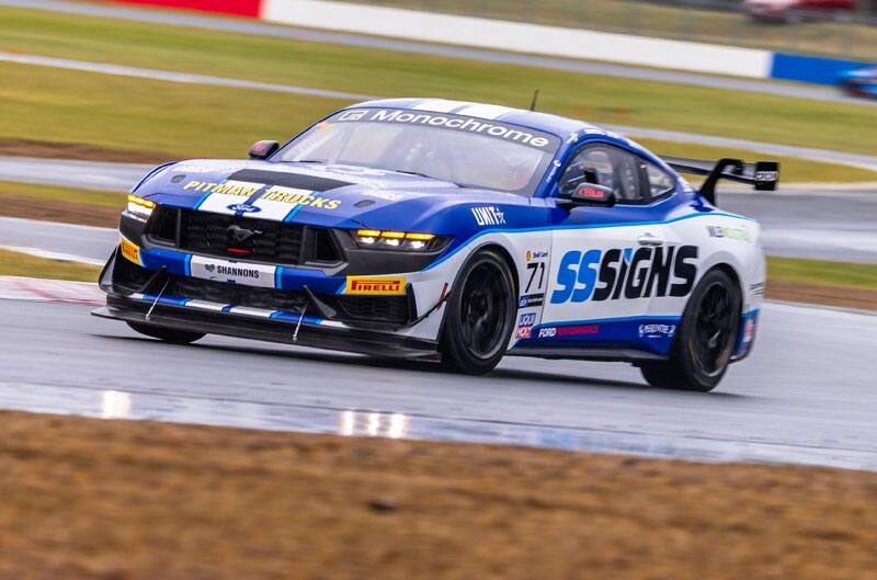 Mustang on the track