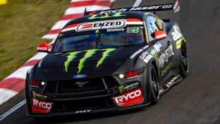 Mustang on the track
