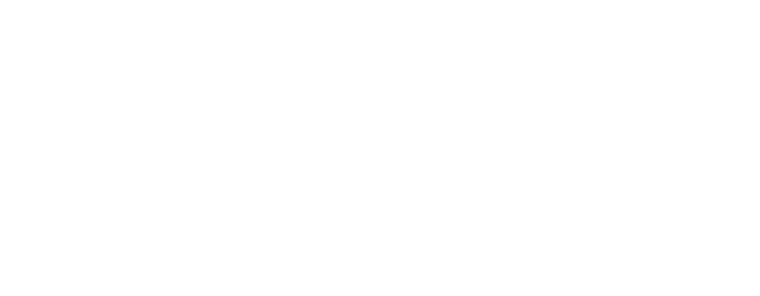 Nascar logo