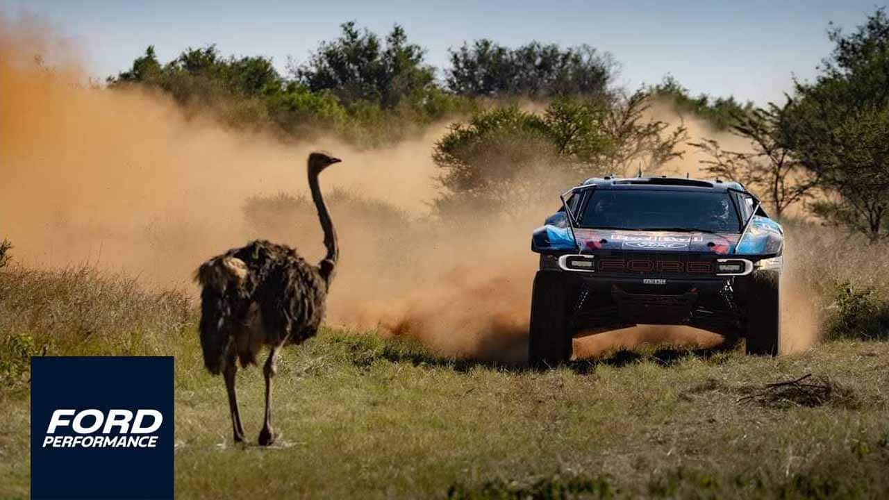 Video of Carlos Sainz Sr. and Nani Roma Taking On the South African Safari Rally