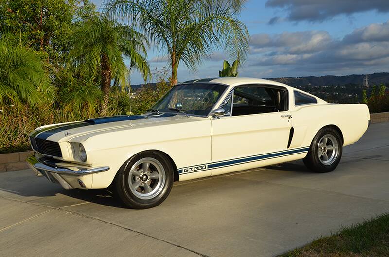 Nelson's GT350