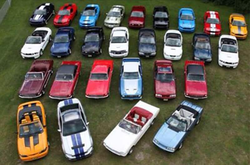 Ariel photo of group of mustangs