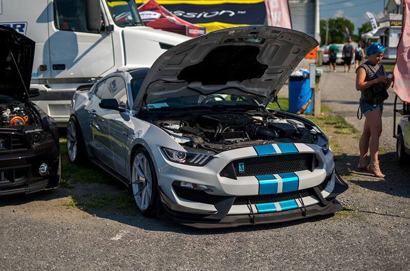 Fan spotlight GT350 mustang