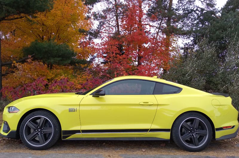 Profile of yellow Mustang Mach 1
