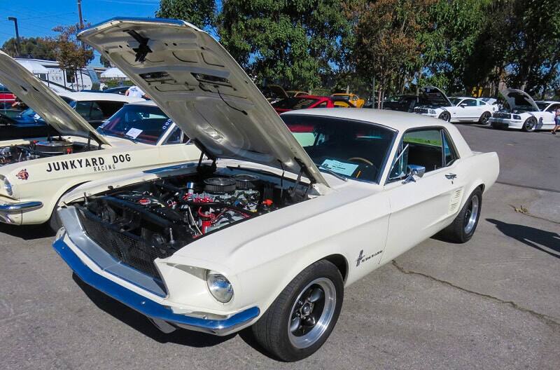 An overview of classic and current Mustangs on display