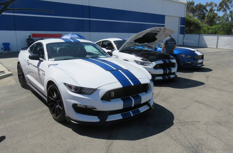 A closeup of a white and blue Shelby Mustang