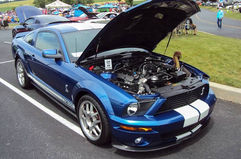 Front profile of a blue Shelby with white stripes on the open hood in the parking lot