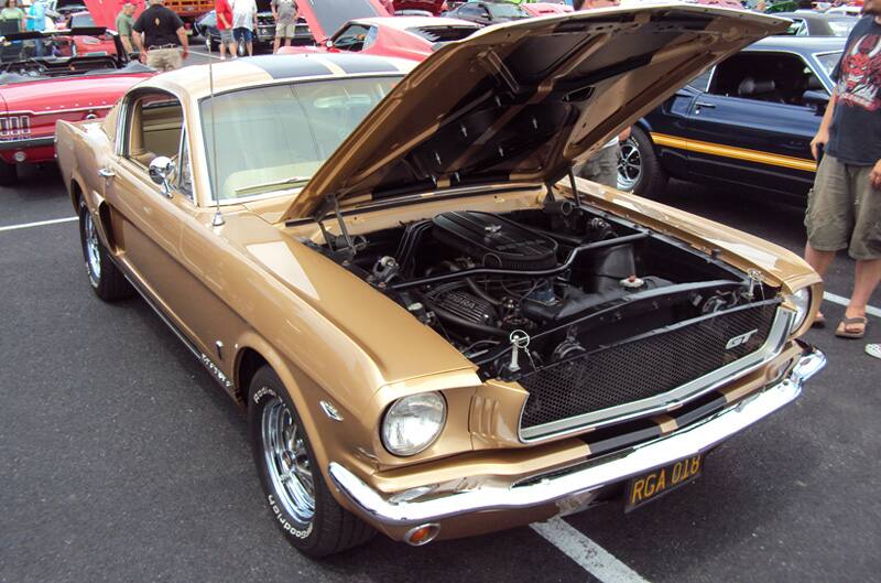 Front of a brown GT with hood open in the parking lot