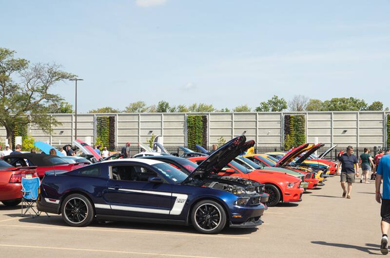 Parking lot full of various Mustangs with hoods open