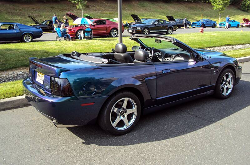 Profile of a blue Shelby convertible in parking lot