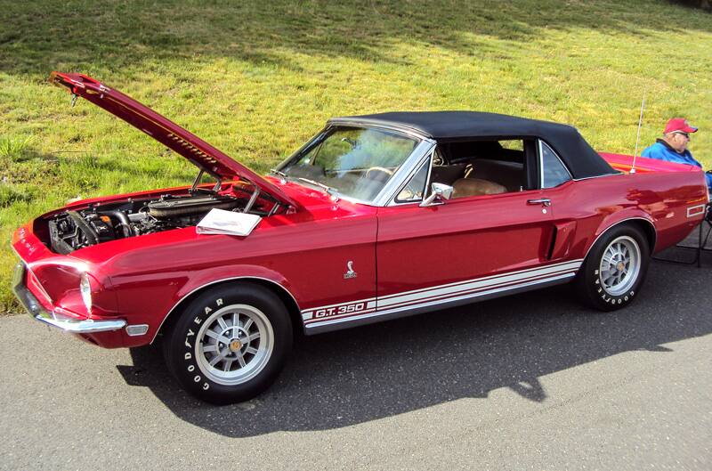 Profile of a red Shelby GT350 with hood open in parking lot