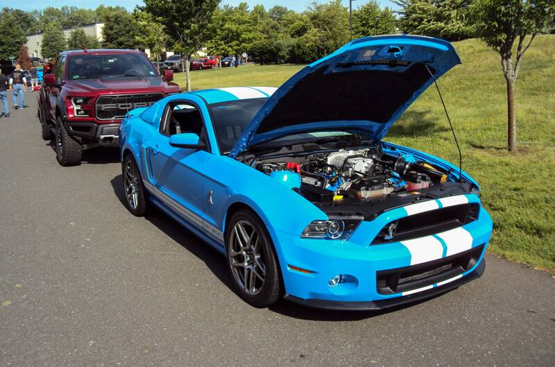 Front of a blue Shelby with white stripes on open hood in front of a red Raptor in the parking lot