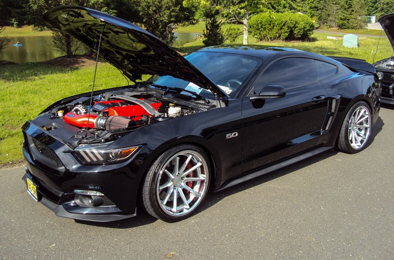 Profile of a black Shelby Mustang with hood open in parking lot