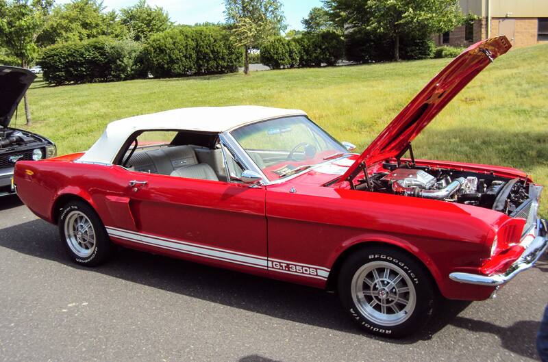 Profile of a red Mustang GT 350S with hood open in parking lot