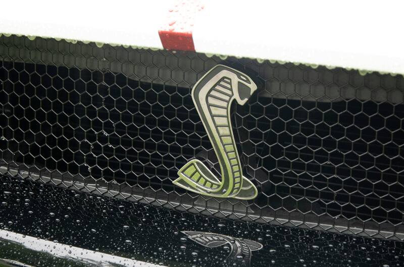 A closeup of the Shelby insignia on the rear grill of the vehicle