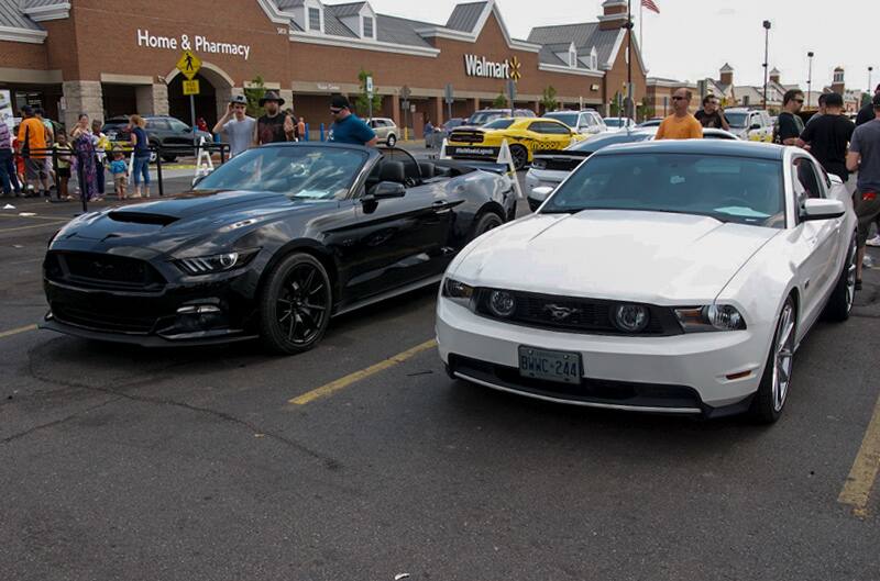 A white and a black Mustang on display