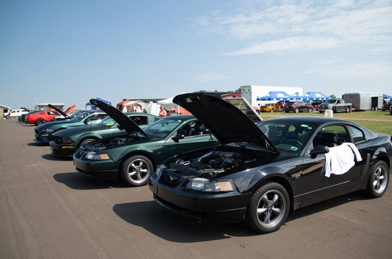 A lineup of Mustangs on display