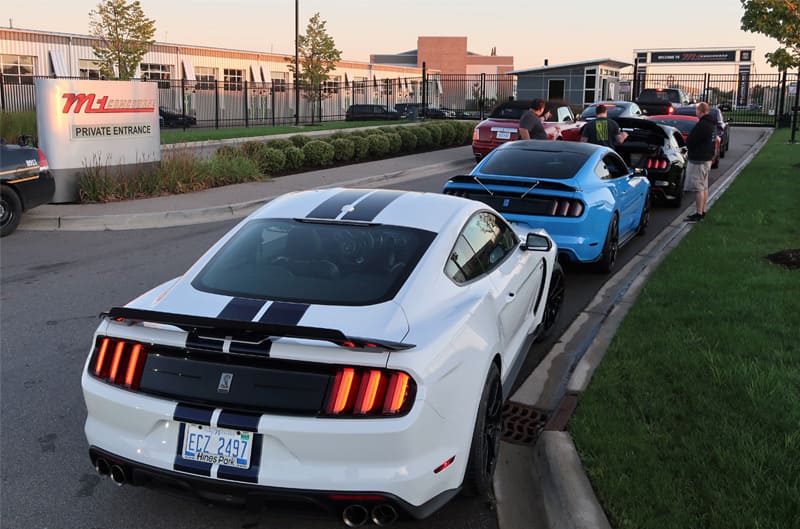 Rears of various Shelby Mustangs lined up at entrance of M1 Concourse