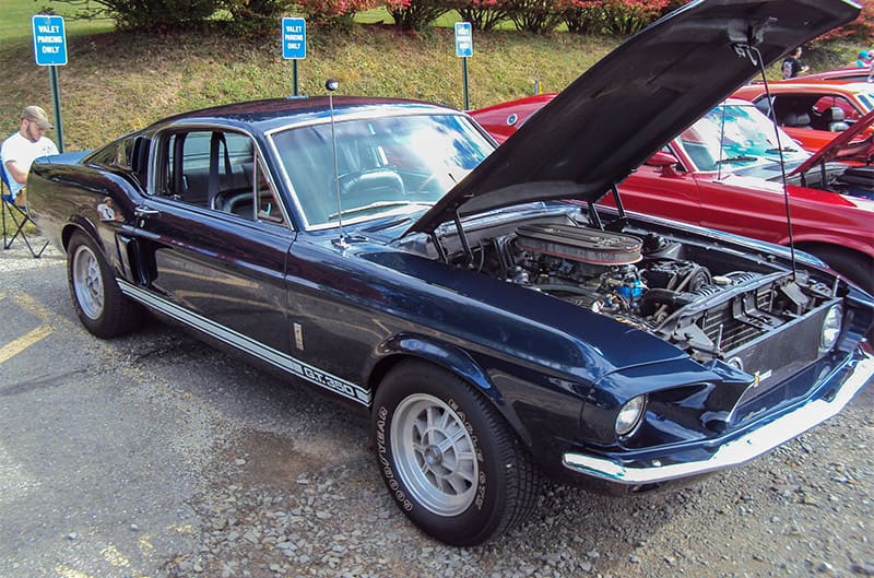 A classic blue Mustang GT350 on display