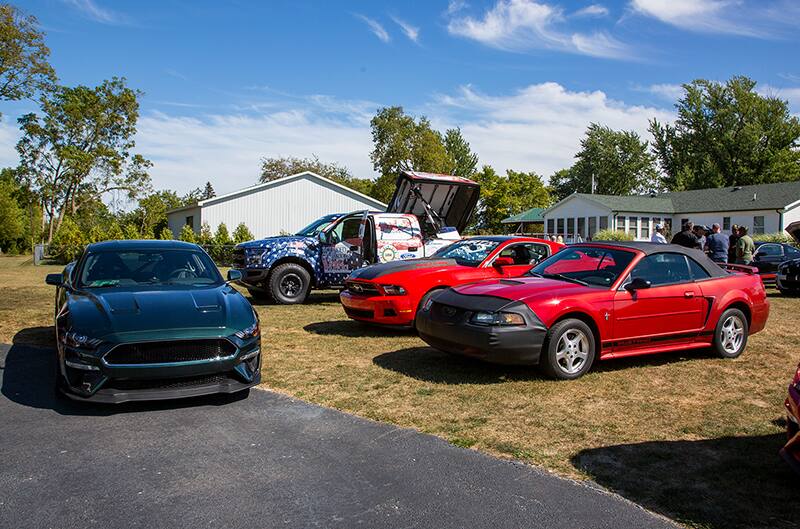 Various Mustangs parked in the grass