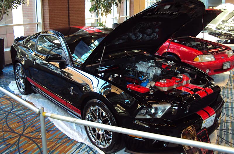 Front profile of a black Shelby GT with hood open and red stripes on display