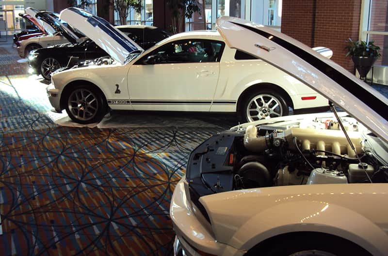 Various Shelby Mustangs on display