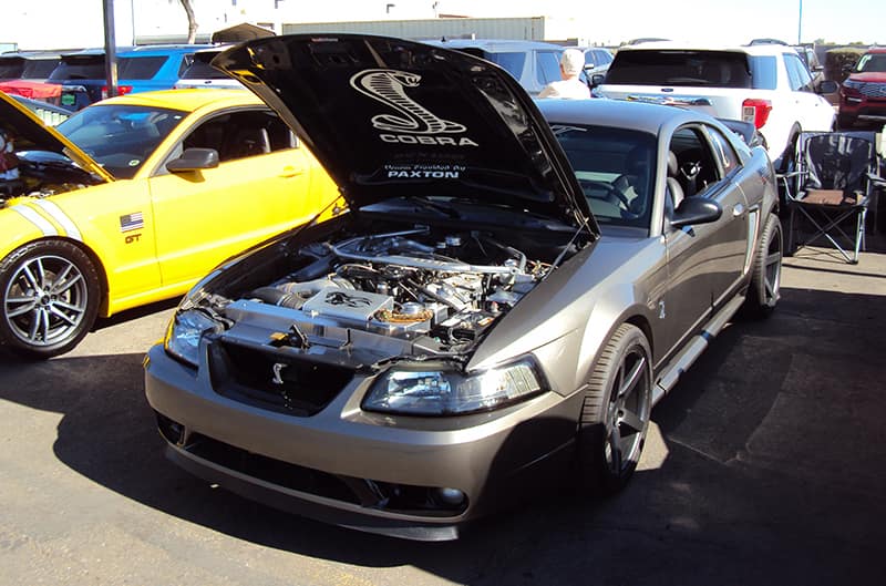 DSG 4th generation mustang cobra