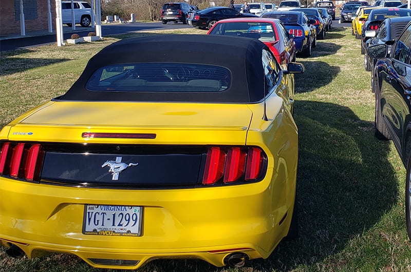 Line up of Mustangs, view from behind