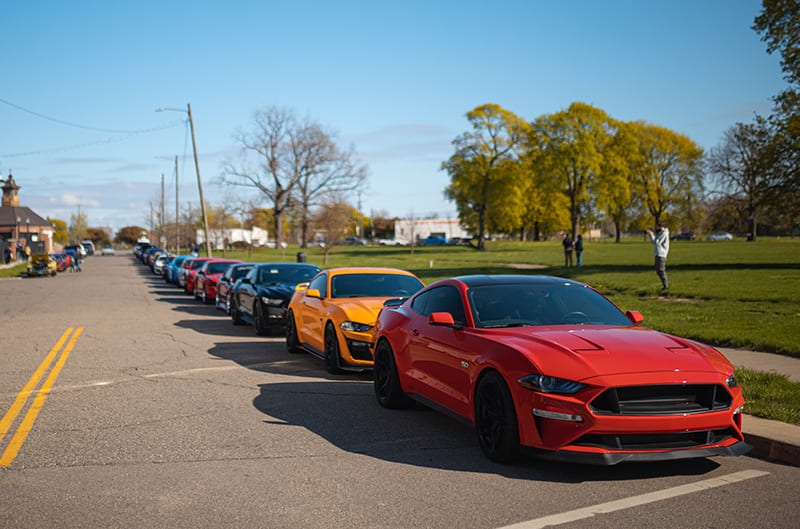 Line up of various mustangs parked along street