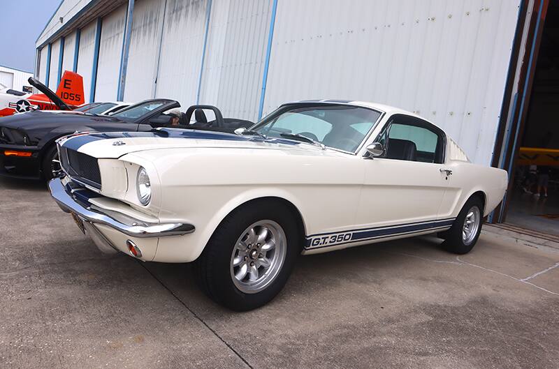 White and Blue GT350 1966 Mustang 