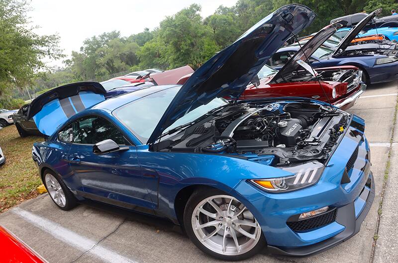 Blue Shelby GT350 with black stripes and hood open at car show