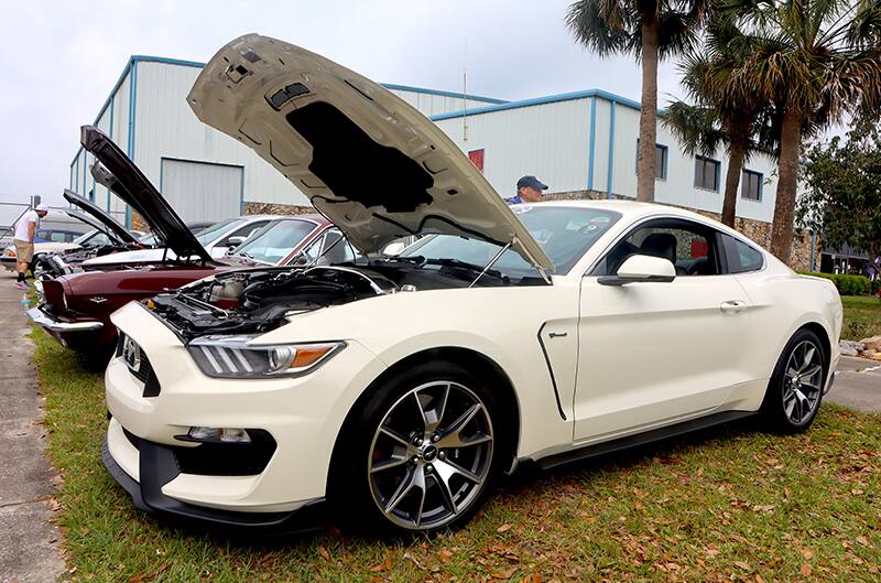 Wimbledon white Shelby GT350