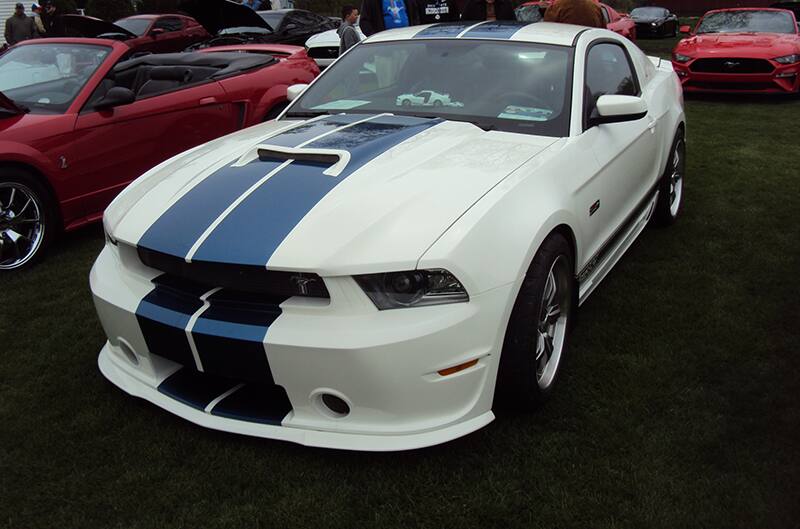White and Blue Shelby GT350 Mustang S197