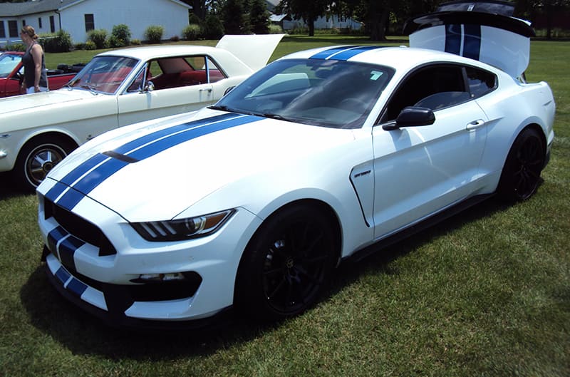 white and blue GT350 S550 Mustang
