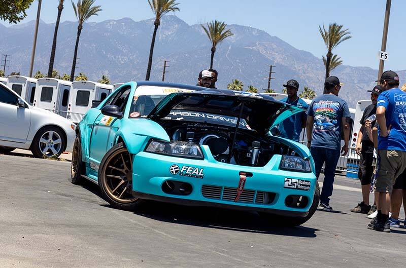 Tiffany Blue Cobra