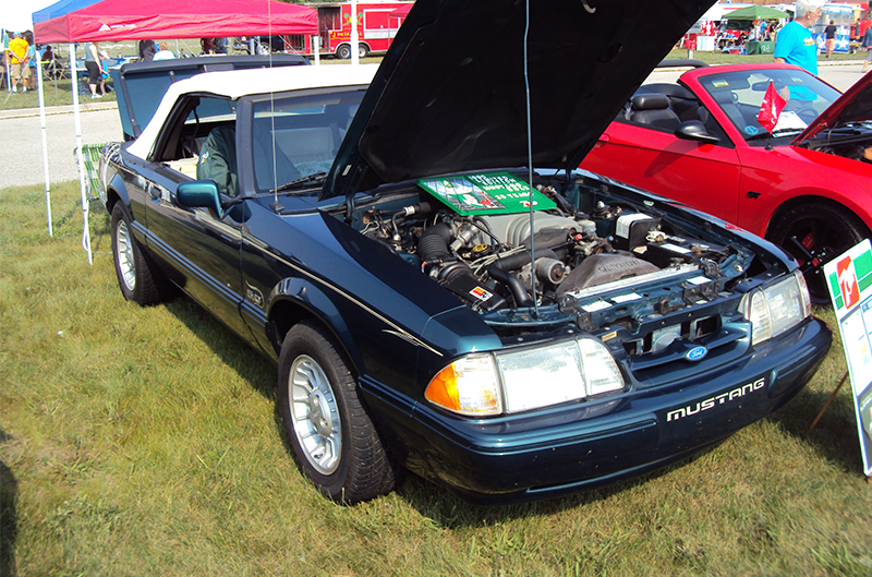 Black Foxbody with white top