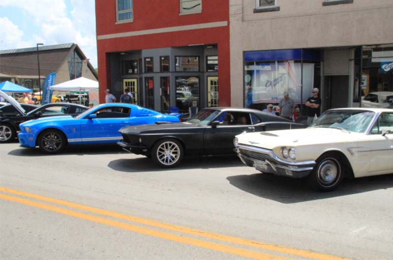 Mustang in a line up