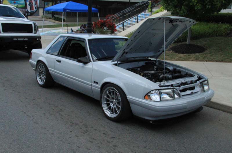 Grey Foxbody