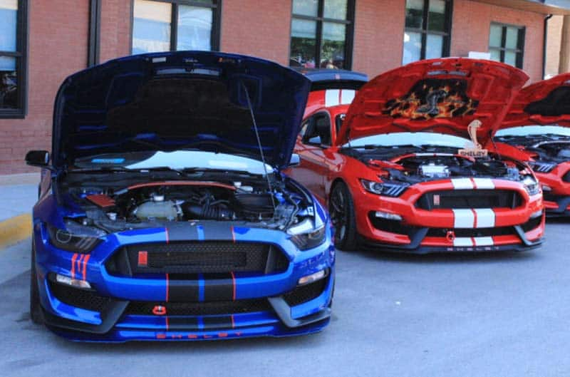 lLine of Shelby Gt350s